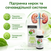 Cirrofit засіб для відновлення нирок Цирофит від болю в нирках opt-D4064