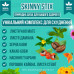 Стики для схуднення 63 стика SkinnyStix з активним жироспалювачем натуральними інгредієнтами та екстрактом фруктів opt-D3-1100