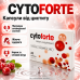 Капсули від циститу сечовидільної системи CytoForte 80 капсул підтримка жіночого здоров'я нирок сечового міхура