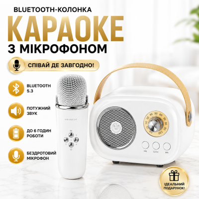 Bluetooth-колонка для караоке з мікрофоном FM-приймач microSD акумулятор C20 Plus для дому вечірок і відпочинку Opt City